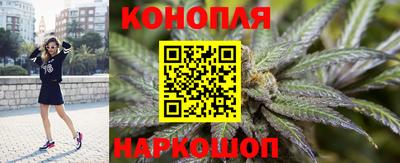 гидра Партизанск