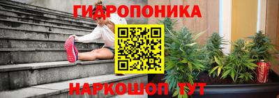 гидра Партизанск