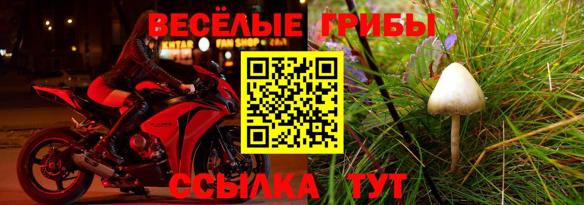Тимашёвск  Галлюциногенные грибы Psilocybine cubensis  где продают наркотики  Вход с VPN 
