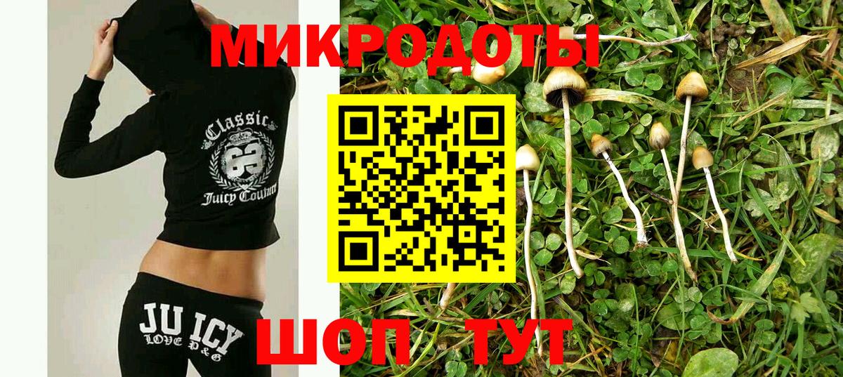 Галлюциногенные грибы мухоморы Тимашёвск